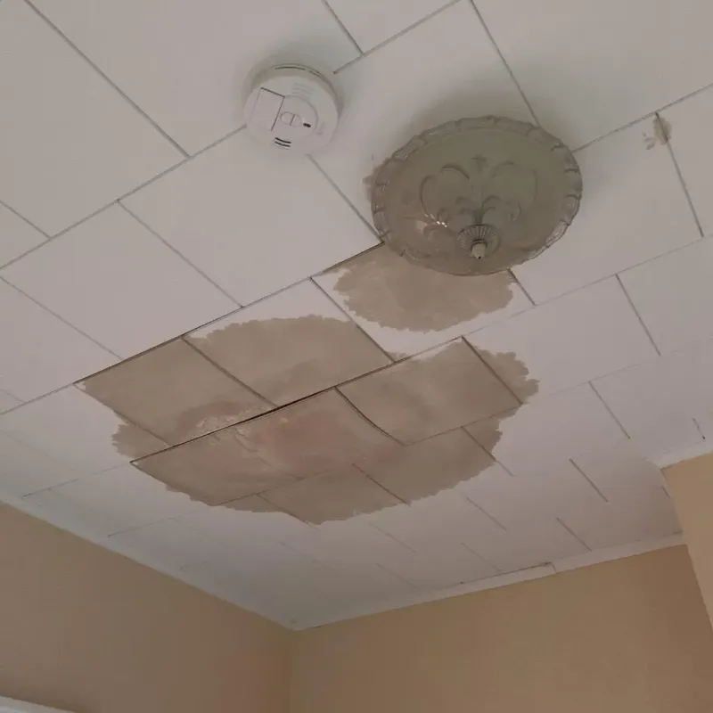 Ceiling Water Damage Repair in Fulton County, AR