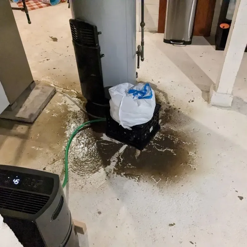 Sewage Backup Cleanup Service in Fulton County, AR